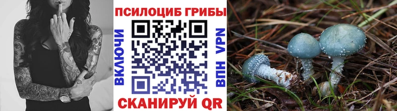 Галлюциногенные грибы MAGIC MUSHROOMS  Гаврилов Посад 